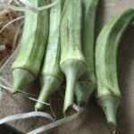 lady finger, greens, vegetables, okra, dietary fiber, digestive benefits, edible, lady finger, lady finger, lady finger, lady finger, okra, okra, okra, okra, okra