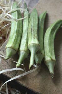 lady finger, greens, vegetables, okra, dietary fiber, digestive benefits, edible, lady finger, lady finger, lady finger, lady finger, okra, okra, okra, okra, okra