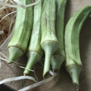 lady finger, greens, vegetables, okra, dietary fiber, digestive benefits, edible, lady finger, lady finger, lady finger, lady finger, okra, okra, okra, okra, okra