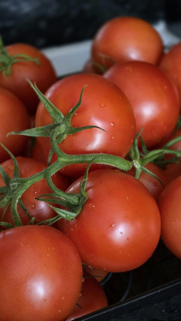 Close-up of fresh red tomatoes with stems showcasing vibrant color and freshness.